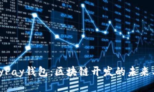 BaileyPay钱包：区块链开发的未来与趋势