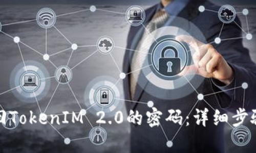 如何找回TokenIM 2.0的密码：详细步骤与技巧