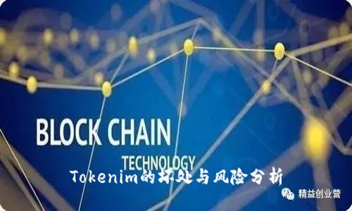 Tokenim的坏处与风险分析