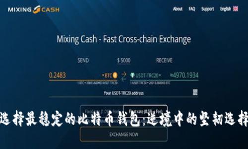 选择最稳定的比特币钱包：逆境中的坚韧选择