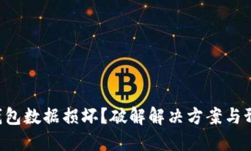 比特币钱包数据损坏？破解解决方案与预防技巧！