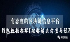 比特币钱包数据损坏？破解解决方案与预防技巧
