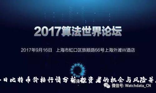 今日比特币价格行情分析：投资者的机会与风险并存