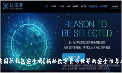 下载国际钱包安全吗？揭秘数字货币世界的安全性与风险