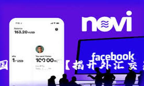 ATFX平台在国内合法吗？揭开外汇交易的神秘面纱