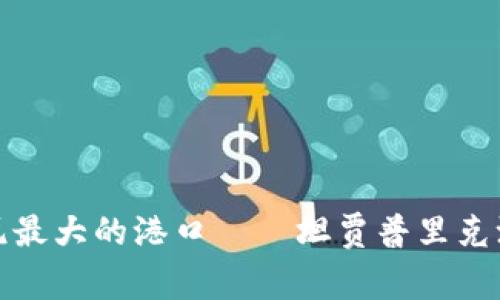 探秘印尼最大的港口——坦贾普里克港的故事