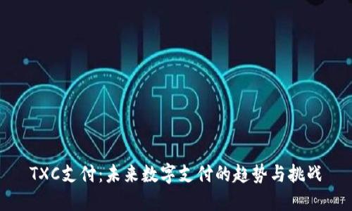 TXC支付：未来数字支付的趋势与挑战