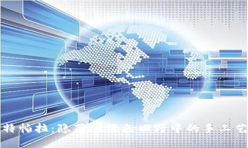 探秘孟加拉坎特帕拉：隐藏在绿色田野中的手工艺术与文化宝藏