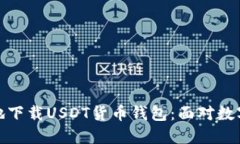 如何安全高效地下载USDT货币钱包：面对数字货币