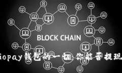 Gopay钱包的一切：你能否提现？