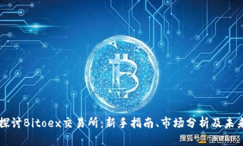 深入探讨Bitoex交易所：新手指南、市场分析及未来展望