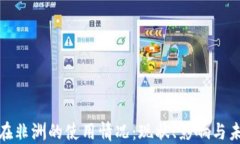 人民币在非洲的使用情况：现状、影响与未来趋