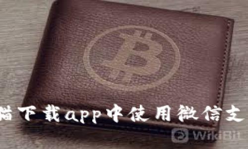 如何在交易猫下载app中使用微信支付进行交易？