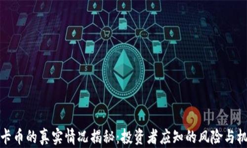 
维卡币的真实情况揭秘：投资者应知的风险与机遇