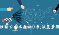 如何处理被公安冻结的U卡：恢复步骤与建议