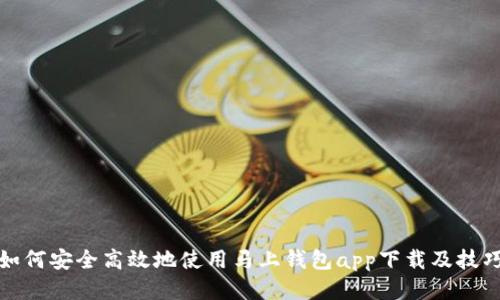 如何安全高效地使用马上钱包app下载及技巧