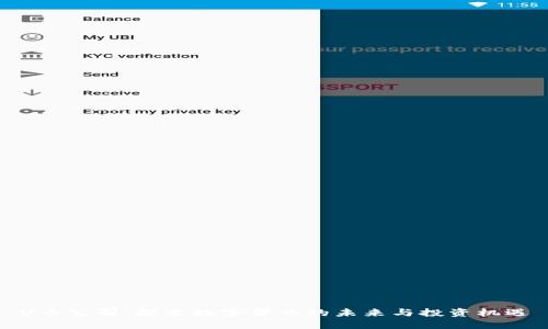 U币公司：探索数字货币的未来与投资机遇