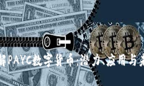 深入了解PAYC数字货币：潜力、应用与未来趋势