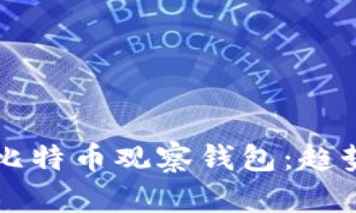 深入了解国外比特币观察钱包：趋势与安全性分析