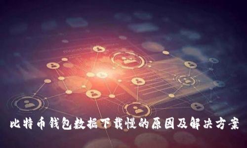 比特币钱包数据下载慢的原因及解决方案