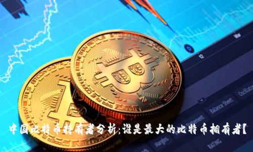 中国比特币持有者分析：谁是最大的比特币拥有者？