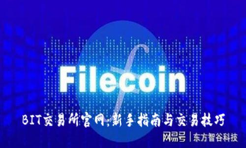 BIT交易所官网：新手指南与交易技巧