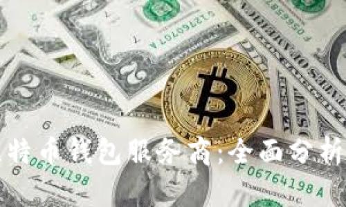 政府调查比特币钱包服务商：全面分析与前景展望