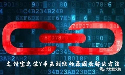 支付宝充值Y币未到账的原因及解决方法