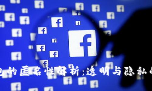 比特币钱包的匿名性解析：透明与隐私的双重挑战