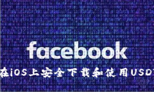 如何在iOS上安全下载和使用USDT钱包