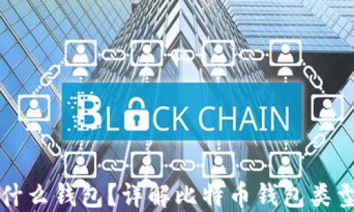 
买比特币用什么钱包？详解比特币钱包类型及选择指南