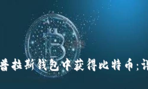 如何在普拉斯钱包中获得比特币：详细指南