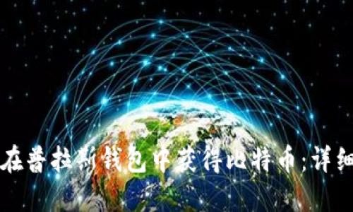 如何在普拉斯钱包中获得比特币：详细指南