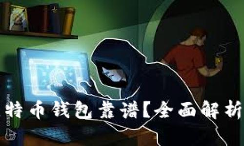 哪些比特币钱包靠谱？全面解析与推荐