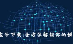 9996盒子下载：全方位解锁你的娱乐世界