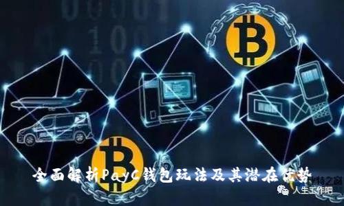全面解析PayC钱包玩法及其潜在优势