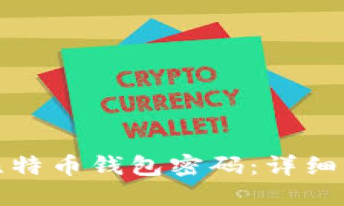 如何找回比特币钱包密码：详细步骤与技巧