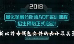深入解析比特币钱包文件的大小及其影响因素
