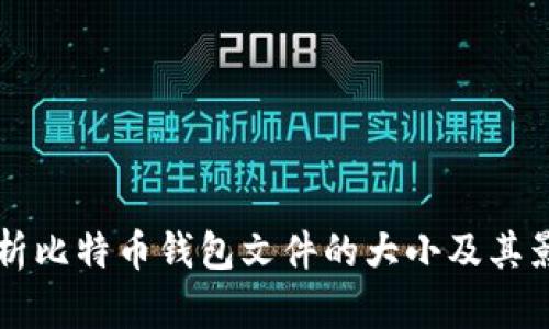 深入解析比特币钱包文件的大小及其影响因素